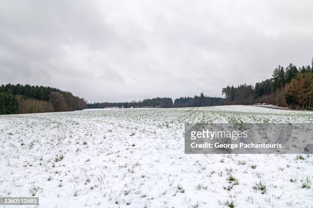 agricultural field covered in snow - frozen ground stock-fotos und bilder