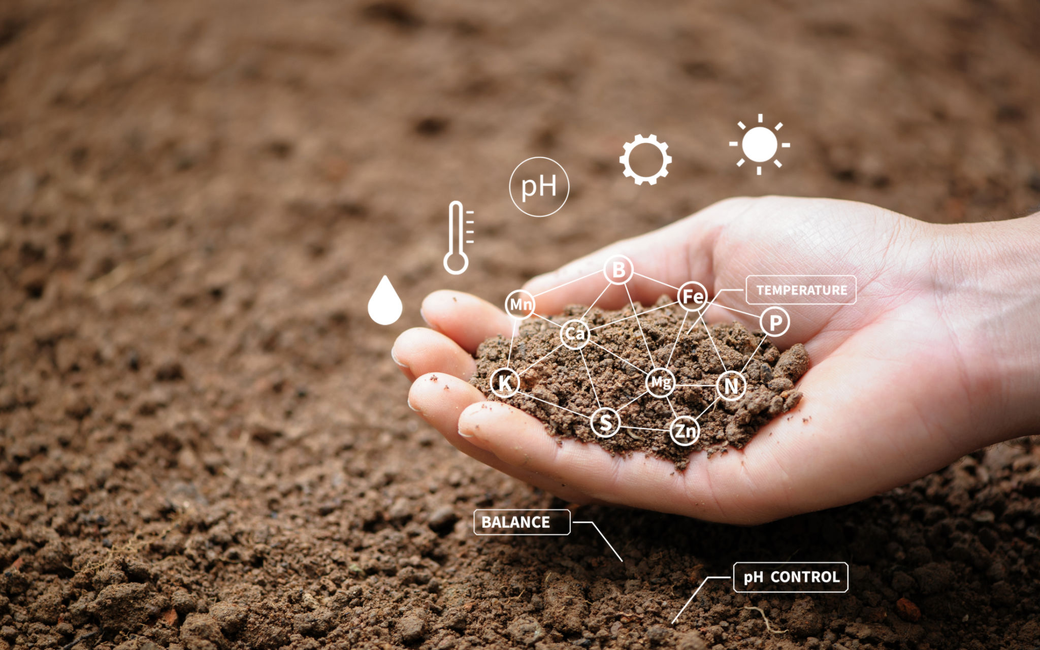 soil analysis