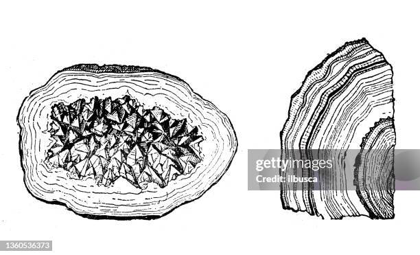 stockillustraties, clipart, cartoons en iconen met antique illustration: quartz (geode and agate) - quartz