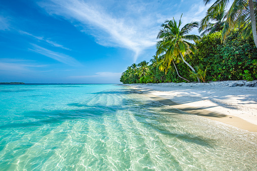 Maldives Tropical Island 1360554439