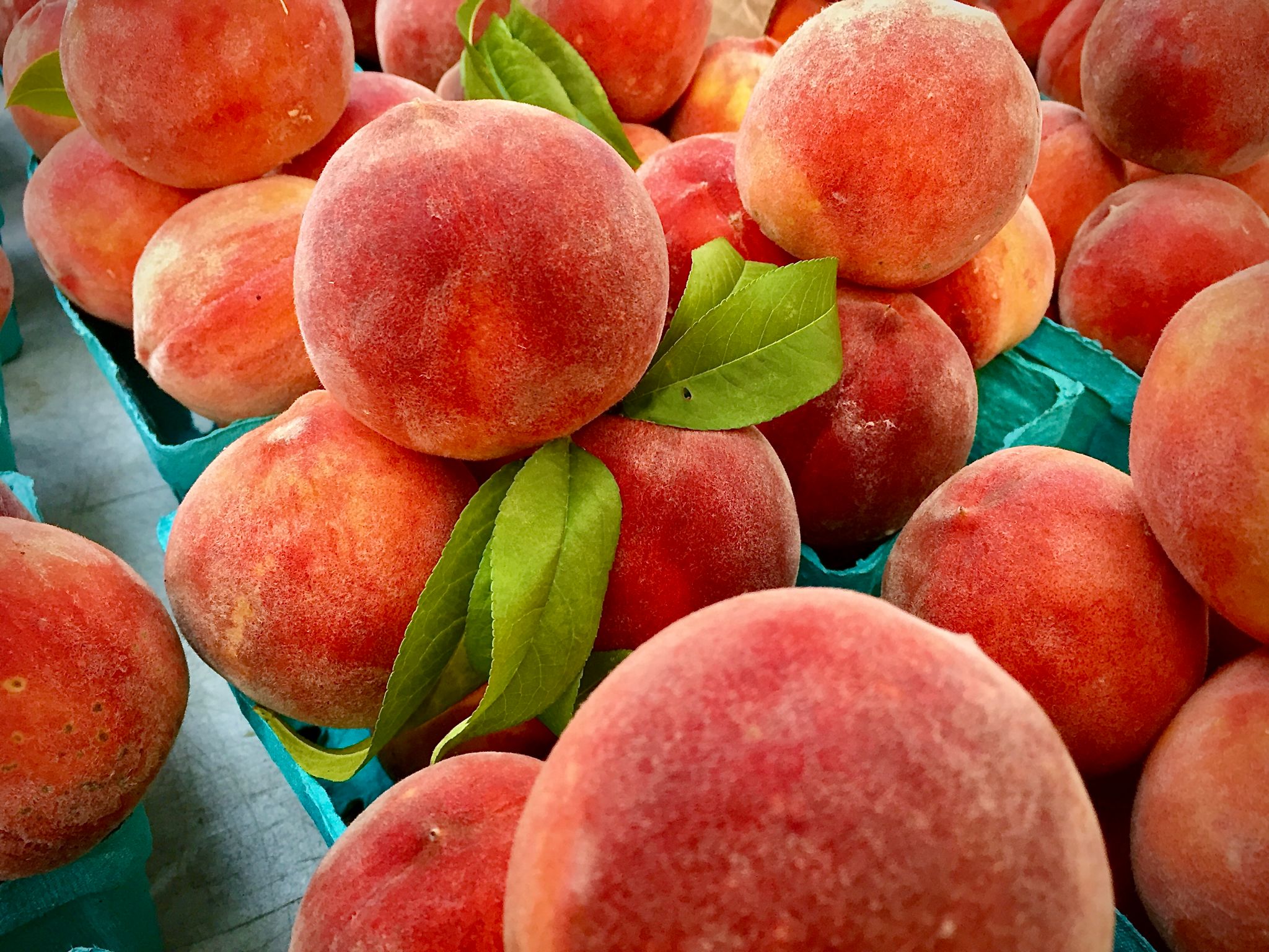 georgia farmers market