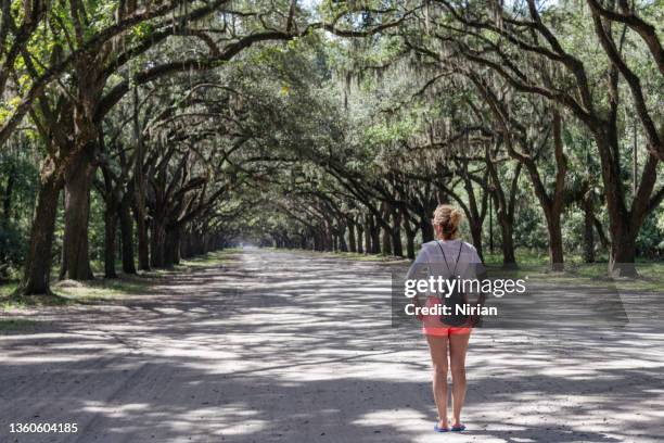 woman on the beginning of the long alley - savannah georgia stock pictures, royalty-free photos & images