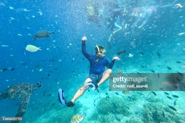 asian man snorkeling at coral reef - snorkel stock pictures, royalty-free photos & images