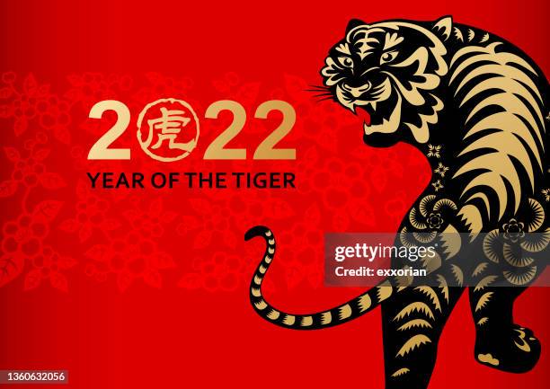 chinese new year tiger - looking over shoulder stock illustrations