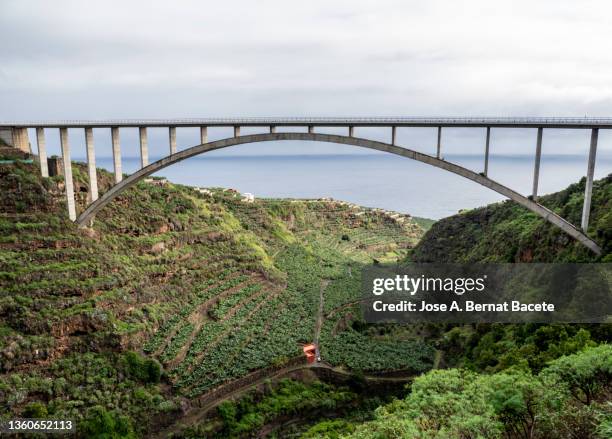 ravine with banana crops that is crossed by a road with a bridge. - bananenplantage stock-fotos und bilder