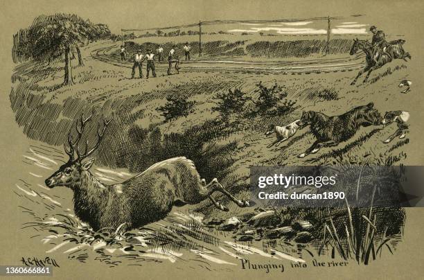 ilustraciones, imágenes clip art, dibujos animados e iconos de stock de perros y cazadores persiguiendo ciervos a través de una vía de ferrocarril, caza victoriana siglo 19 - hunting
