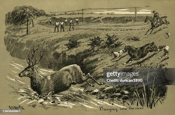 ilustrações de stock, clip art, desenhos animados e ícones de dogs and hunter chasing stag across a railway track, victorian hunting 19th century - perseguir