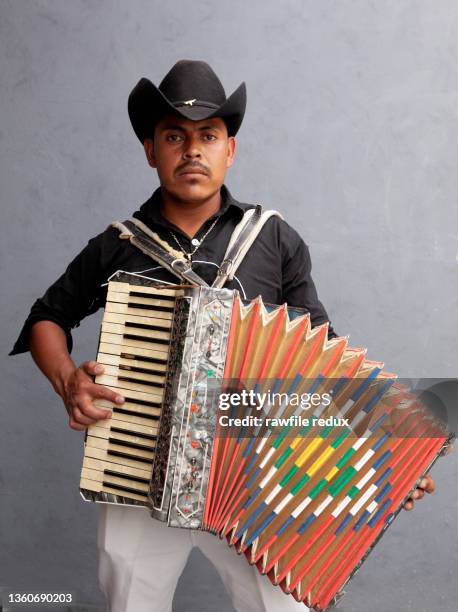 accordion player - accordionist - fotografias e filmes do acervo