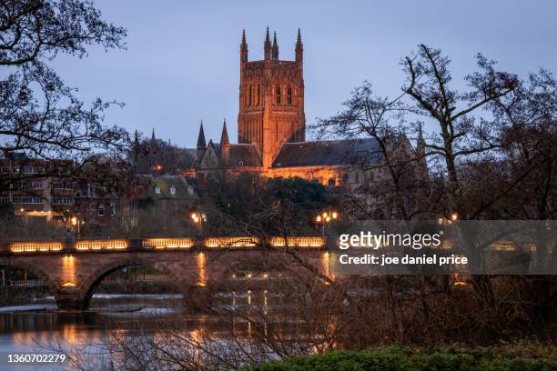 worcester cathedral, river severn, worcestershire, england - worcester england stock pictures, royalty-free photos & images