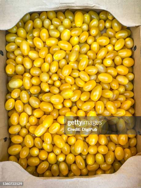 yellow cherry tomatoes - イエロートマト ストックフォトと画像