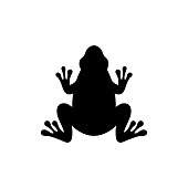 Frog icon design template vector isolated