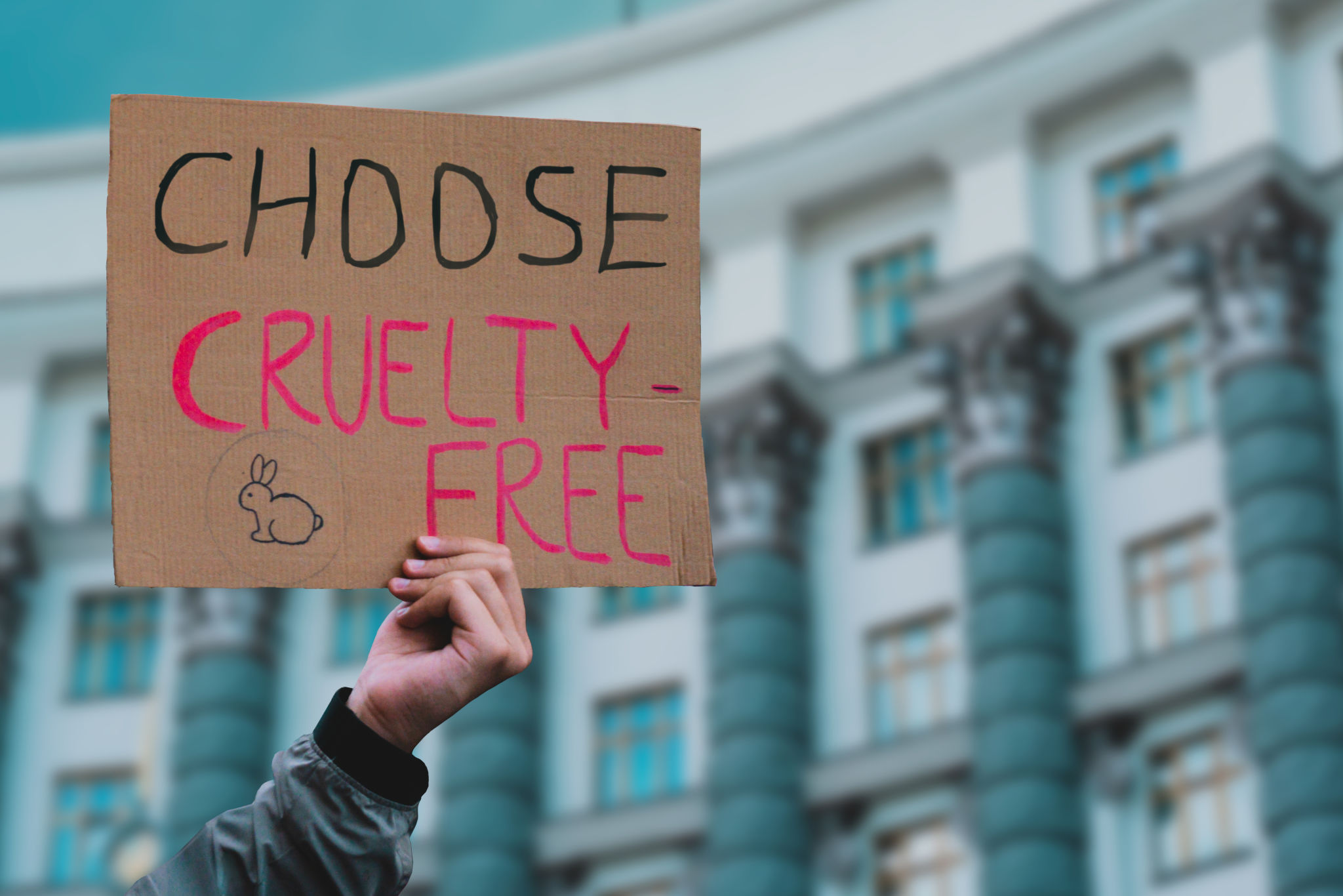 cruelty free beauty