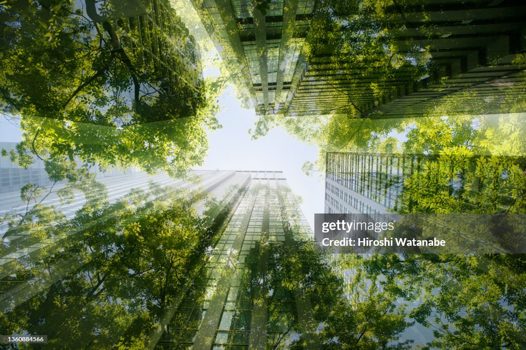 Cityscape mixed with green plants, multi layered image