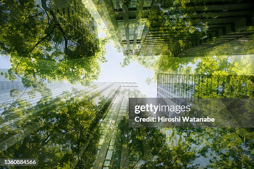 Cityscape mixed with green plants, multi layered image Cityscape mixed with green plants, multi layered image