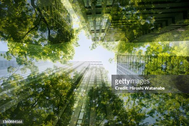 cityscape mixed with green plants, multi layered image - environmental issues stockfoto's en -beelden