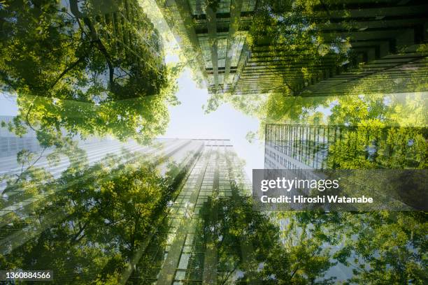 cityscape mixed with green plants, multi layered image - sustainable development goals stock pictures, royalty-free photos & images
