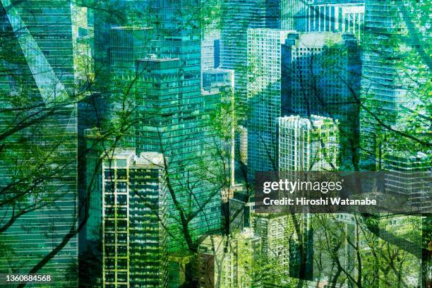 cityscape mixed with green plants, multi layered image - sustainable development goals 個照片及圖片檔