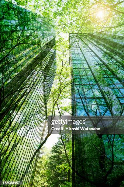 cityscape mixed with green plants, multi layered image - symbiotic relationship stock-fotos und bilder