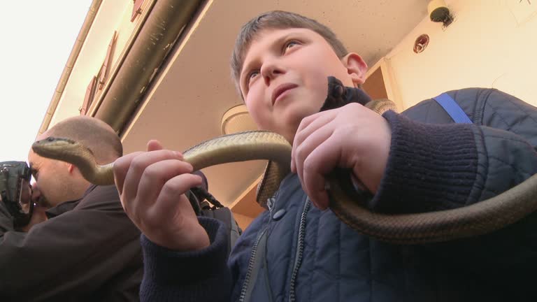 24 Child Afraid Of Snake Stock Videos, Footage, & 4K Video Clips ...