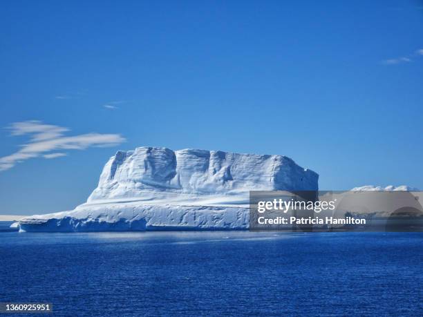 large ice berg, tabarin peninsula - weddell sea - fotografias e filmes do acervo