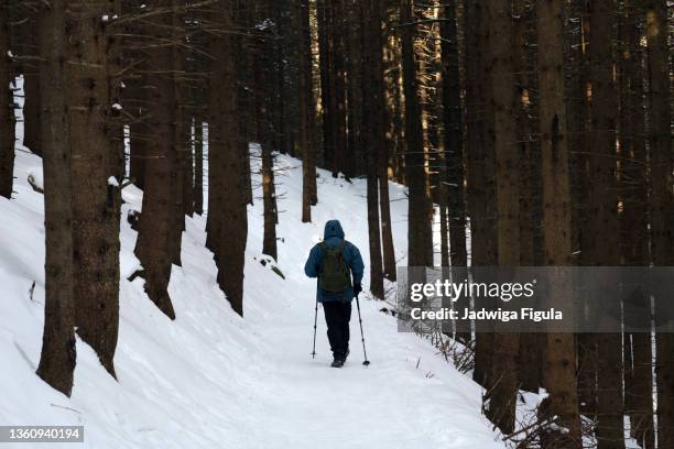 a hiker uses trekking poles during a hike at winter through the woods in tatra mountains, in poland. - tatra stock-fotos und bilder