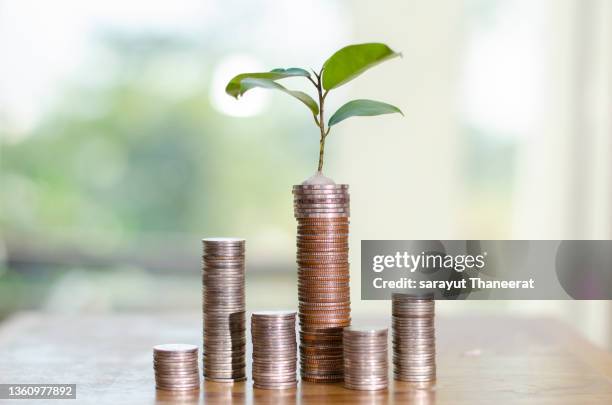 money growth saving money. upper tree coins to shown concept of growing business - micro finance stock pictures, royalty-free photos & images