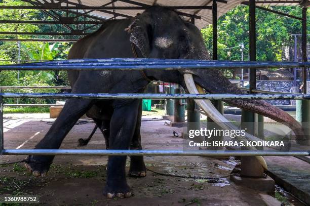 Muthu Raja 1,192 S A Raja Stock Photos, High-Res Pictures, and Images - Getty Images