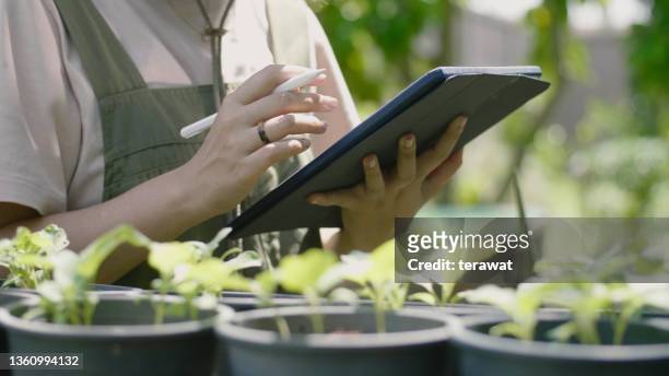 woman using a digital tablet in farm. - eerlijke handel stockfoto's en -beelden