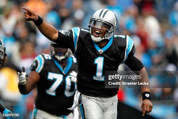 Cam Newton of the Carolina Panthers celebrates after his team scored a touchdown during their game against the Tampa Bay Buccaneers at Bank of...