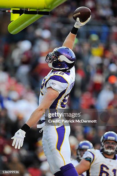 Kyle Rudolph of the Minnesota Vikings celebrates after catching a touchdown pass from Joe Webb of the Minnesota Vikings during a game against the...