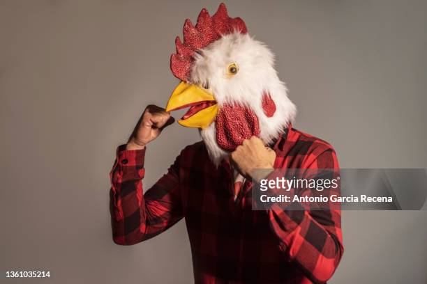 man with chicken costume and self righteousness in studio portrait ready for fight - kuriose mode stock-fotos und bilder