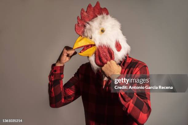 man with chicken costume and self righteousness in studio portrait ready for fight - mad rooster stock pictures, royalty-free photos & images