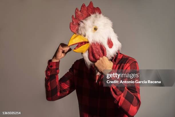 man with chicken costume and self righteousness in studio portrait ready for fight - funny rooster stock pictures, royalty-free photos & images