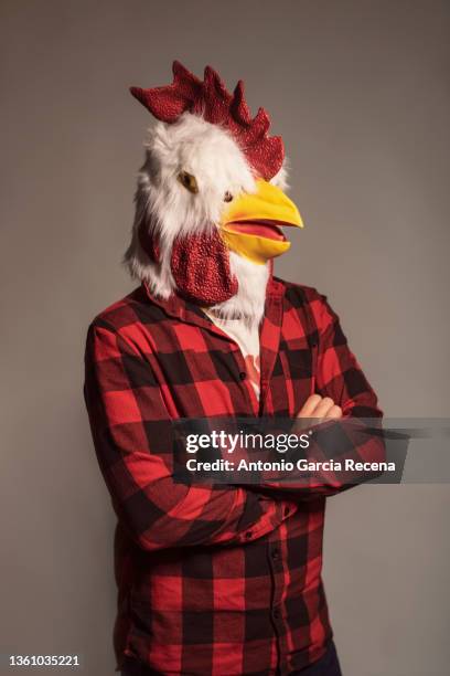 man with chicken costume and self righteousness in studio portrait - mask disguise stock pictures, royalty-free photos & images