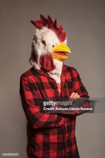 man with chicken costume and self righteousness in studio portrait - förklädnad bildbanksfoton och bilder