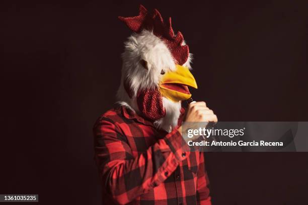 man with chicken costume and self righteousness in studio drinking beer - funny rooster stock pictures, royalty-free photos & images