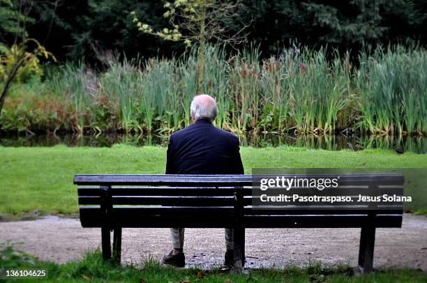 senior man sitting on bench in garden - un seul homme senior photos et images de collection