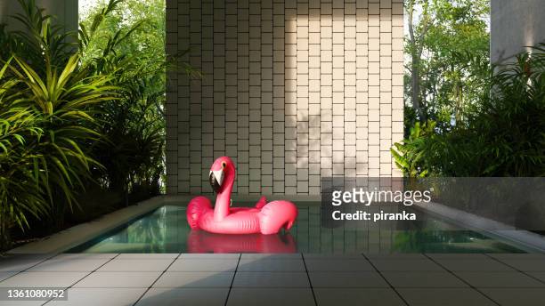 innenpool - flamingos stock-fotos und bilder