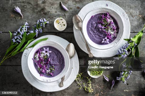 cream of purple cauliflower - cauliflower bowl stock pictures, royalty-free photos & images