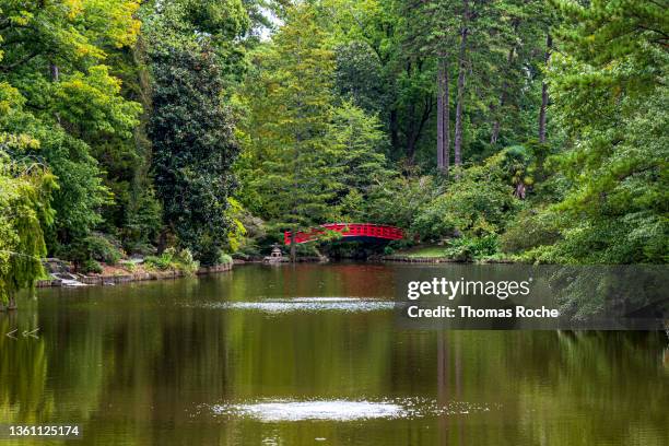 a beautiful arched bridge in the garden - edward-lambton-7th-earl-of-durham stockfoto's en -beelden