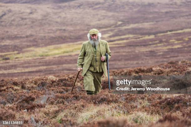 a scottish game keeper walks on the moors - jachtopziener stockfoto's en -beelden