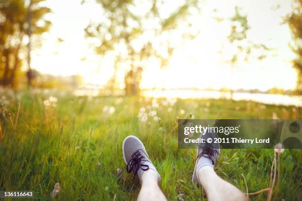 feet on grass and sunset in background - laval canada stock pictures, royalty-free photos & images