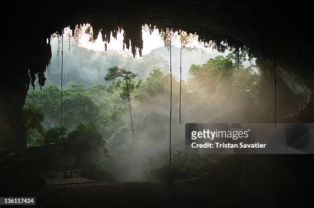 natural cave in rain forest - isla de borneo fotografías e imágenes de stock