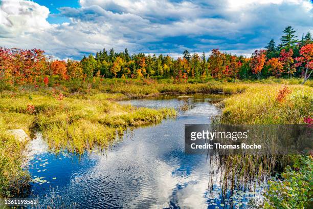 a beautiful fall day on a marsh in the adirondacks - adirondack state park stock pictures, royalty-free photos & images