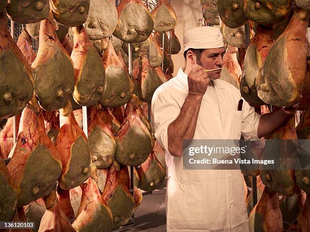 ham production in italy - large group of craftsman stock-fotos und bilder