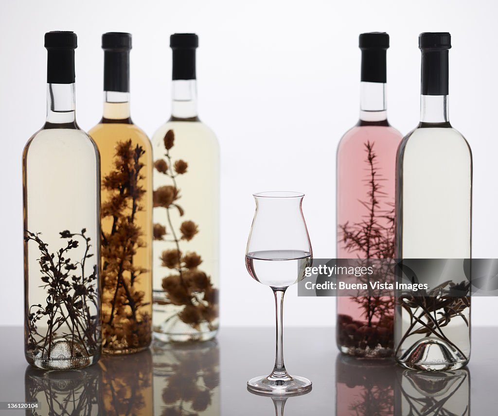 Italian Brandy (Grappa)