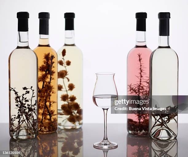 italian brandy (grappa) - grappa stockfoto's en -beelden