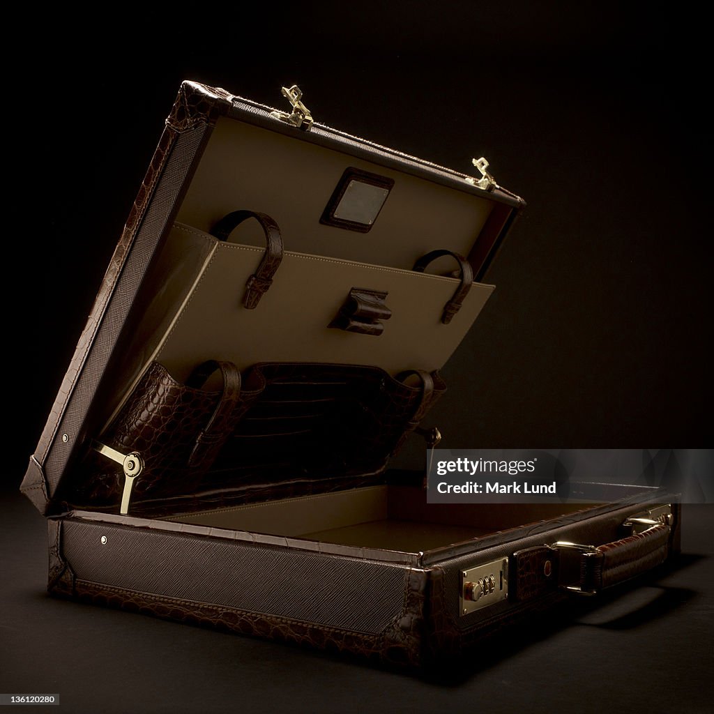 Open Luxury Briefcase