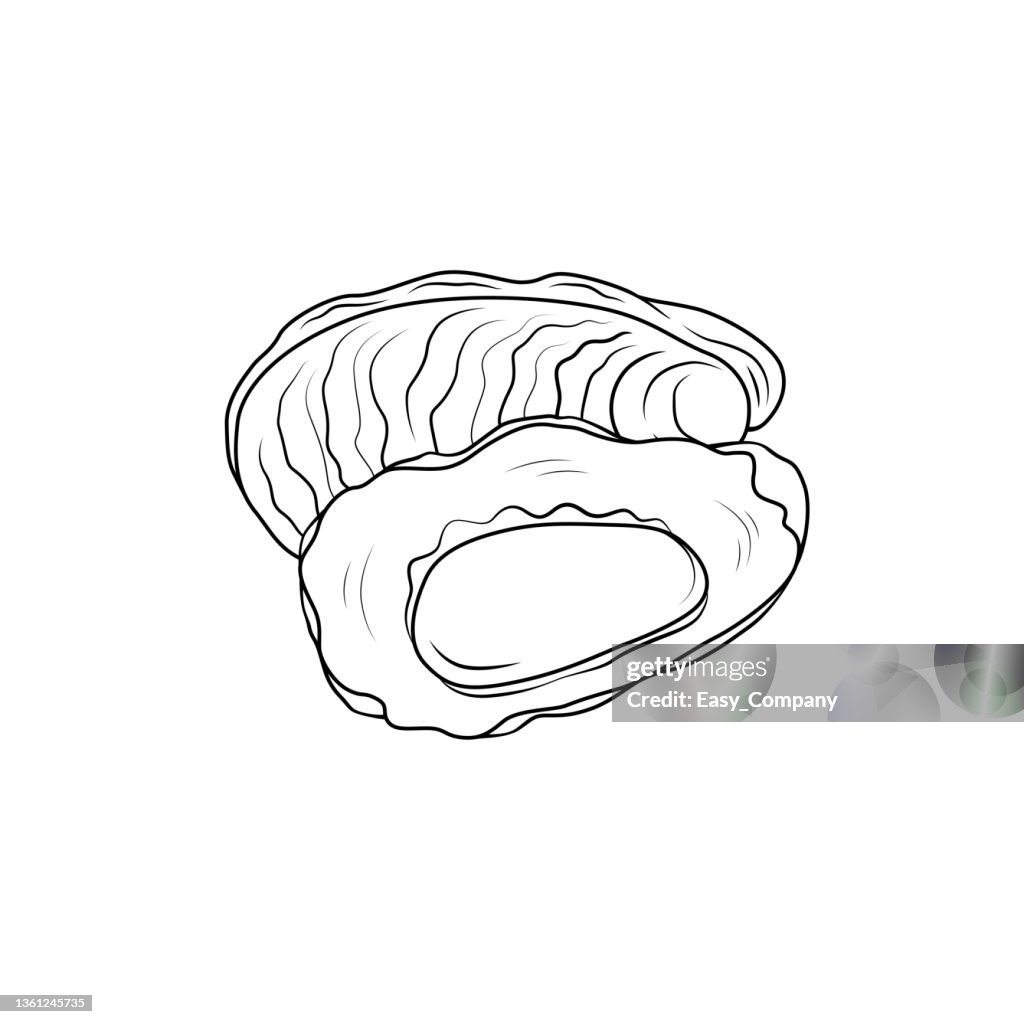 Black and white vector illustration of children's activity coloring book pages with pictures of Animal oyster.