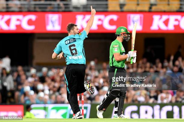 Mark Steketee of the Heat celebrates dismissing Marcus Stoinis of the Stars during the Men's Big Bash League match between the Brisbane Heat and the...